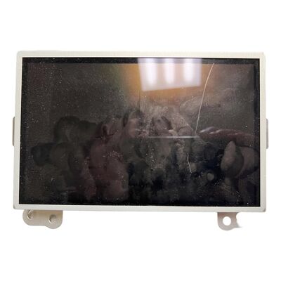 Display LCD Ford da 8 pollici LQ080Y5LX29A Car Screen Panel RB5T18B955FC per navigazione GPS